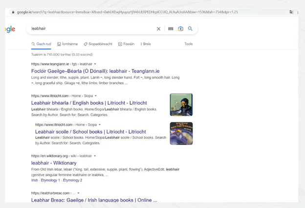 SEO for Ireland, Google as Gaeilge (in Irish)